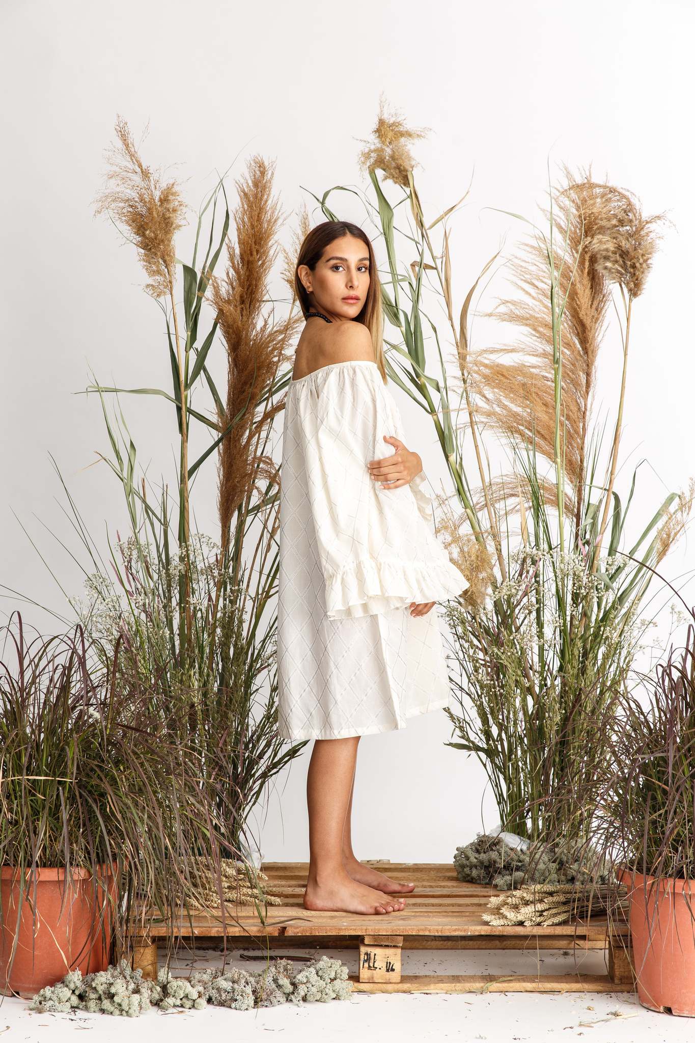 RUFFLED SLEEVES DRESS